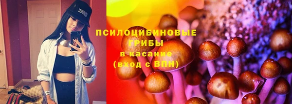 ГАЛЛЮЦИНОГЕННЫЕ ГРИБЫ Балабаново