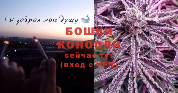 ГАЛЛЮЦИНОГЕННЫЕ ГРИБЫ Балабаново