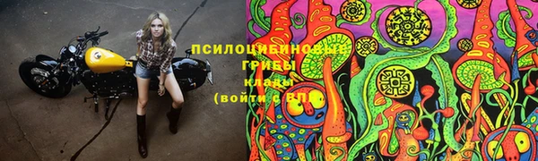 ГАЛЛЮЦИНОГЕННЫЕ ГРИБЫ Балабаново