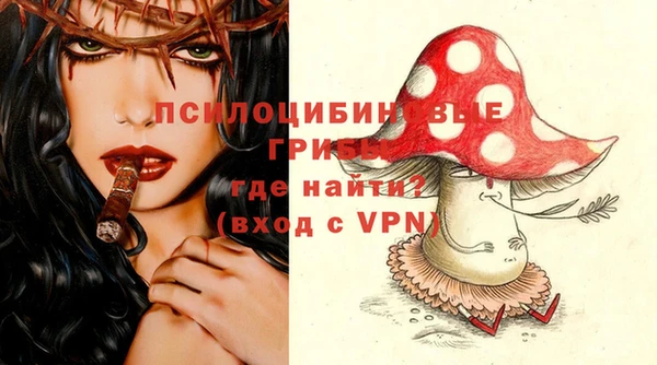 ГАЛЛЮЦИНОГЕННЫЕ ГРИБЫ Балабаново