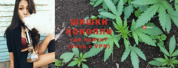 ГАЛЛЮЦИНОГЕННЫЕ ГРИБЫ Балабаново